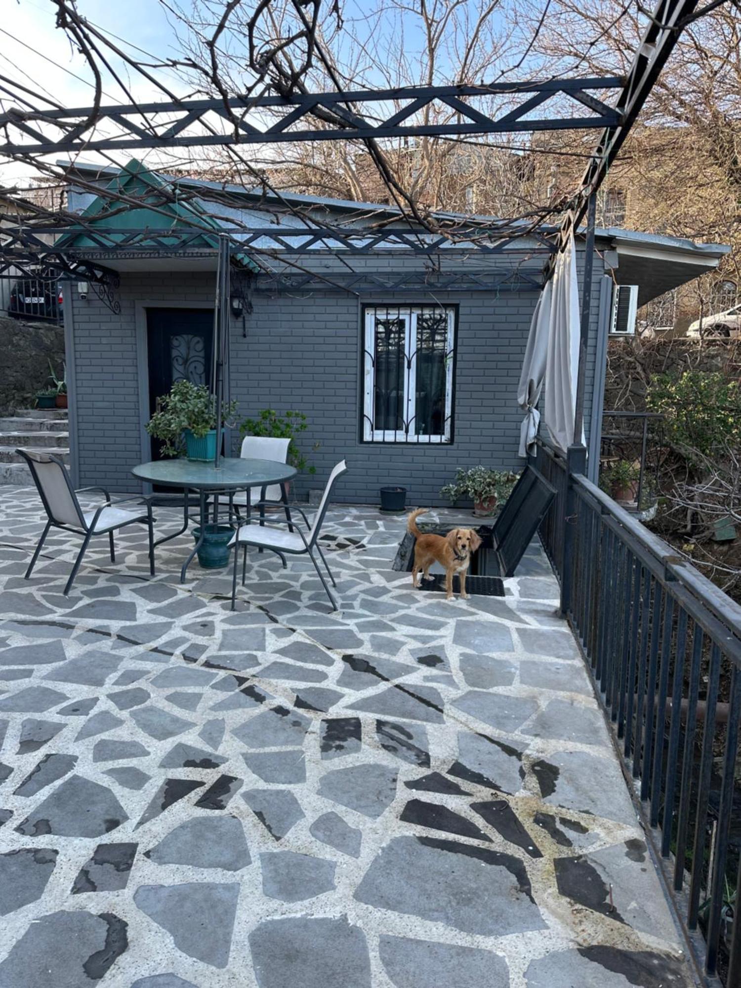 Apartment Lui Tbilisi Zewnętrze zdjęcie